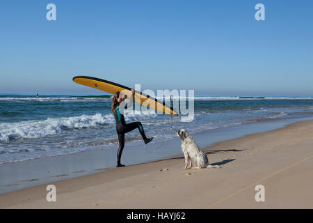 A female surfer coming out of the water and freeing from the leash of her surfboard under the gaze of her dog (Hossegor - France). Stock Photo