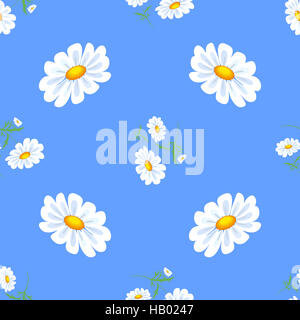 White daisies. Stock Photo