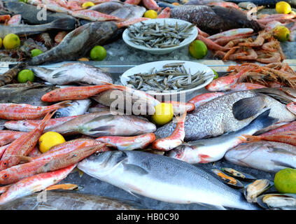 Fresh fish on display in a glass cabinet outside a restaurant in Paphos harbour, Cyprus Stock Photo