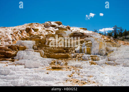 Mammoth Hot Springs is a large complex of hot springs on a hill of travertine in Yellowstone National Park Stock Photo