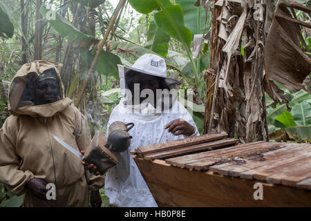 Women beekeepers West Africa Stock Photo