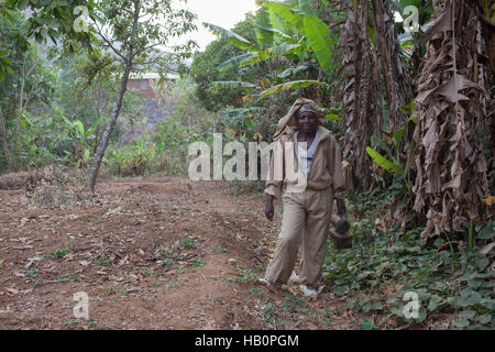 Women beekeepers West Africa Stock Photo