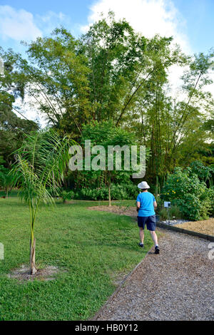 Botanical gardens of the Edison & Ford Winter Estates in Fort Myers Florida Stock Photo