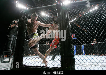 UFC fighter Dong Hyun Kim, right, fights Amir Sadollah at UFC 114 on May 29, 2010 in Las Vegas, Nevada. Francis Specker Stock Photo