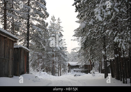 Old wooden barn in the taiga forest. Stock Photo