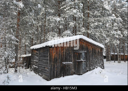 Old wooden barn in the taiga forest. Stock Photo