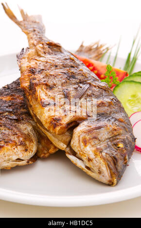 Dorada fish. Stock Photo