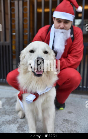 St Paul's Cathedral, London, UK. 4th December 2016. Santa in the City Charity fun run Santa's run through City of London. Stock Photo