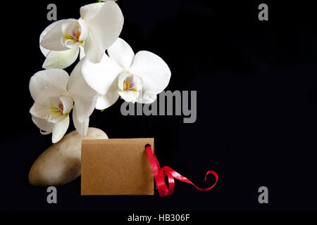 White orchid on zen stones and card. Stock Photo