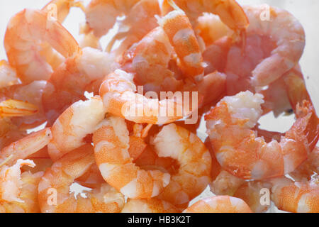 Cooked shrimps close up Stock Photo