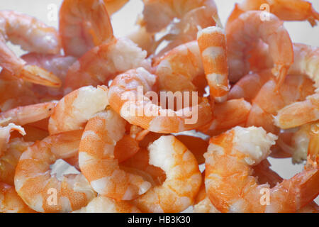 Cooked shrimps close up Stock Photo