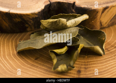 Cassia leaves Stock Photo