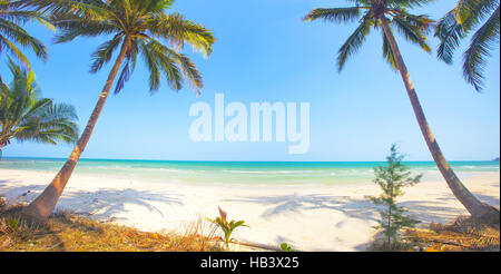 Panorama of tropical beach with coconut palm trees Stock Photo - Alamy