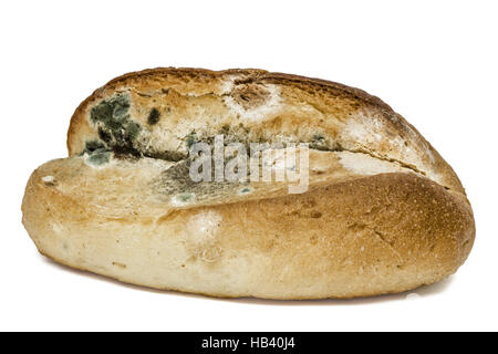 Moldy  bread, isolated on white background Stock Photo