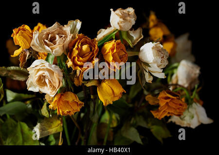 Withered Bunch of Roses Stock Photo