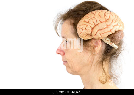 Head of woman with model of human brains Stock Photo