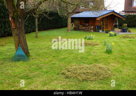 thatching the lawn in spring Stock Photo
