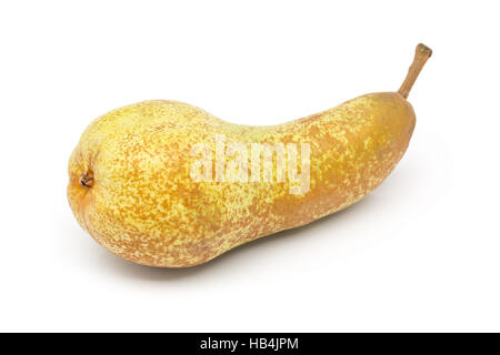 Single whole, uncut 'abate fetel' pear over white background Stock Photo