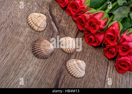 Brown shells and roses on wooden background Stock Photo