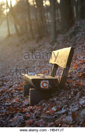 Deserted loveless seat in a wood in Germany as the sun goes down on a lonely Autumnal scene. Stock Photo