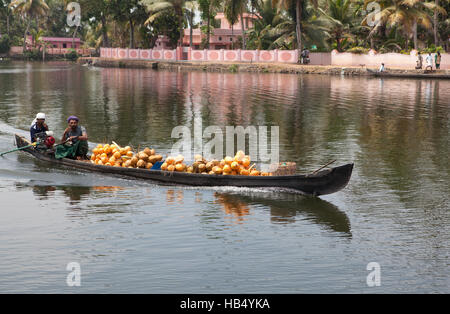 Boat carrying coconuts, backwaters near Alappuzha (Alleppey), Kerala, India Stock Photo