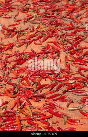 Spices ; Thai Ingredients ; Red Chilly And Ginger Stock Photo - Alamy