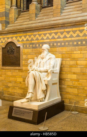 Statue of Charles Darwin by Sir Joseph Boehm in the main hall of the Natural History Museum, London, UK Stock Photo