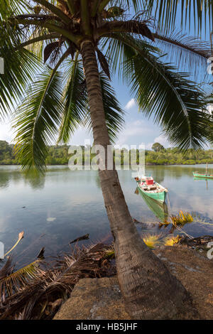 Tropical beach in Ko Rong with sea wave on the sand and palm trees Stock Photo