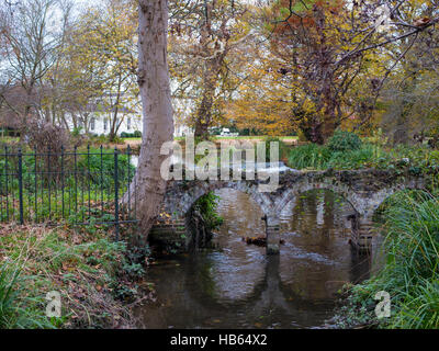 River Wandle, Morden Hall Stock Photo