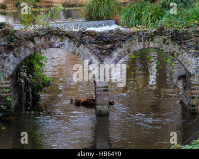 River Wandle, Morden Hall Stock Photo