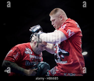 UFC fighter Brock Lesnar during a training session before UFC 116 on June 30, 2010 in Las Vegas, Nevada. Photo by Francis Specker Stock Photo