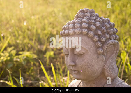 Portrait of Buddha image and light ray on sunny meadow background. Symbol of Buddhism religion Stock Photo