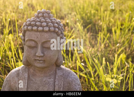 Portrait of Buddha on sunny meadow and ray. Stock Photo