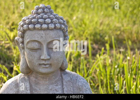 Buddha head on sunny meadow background. Stock Photo