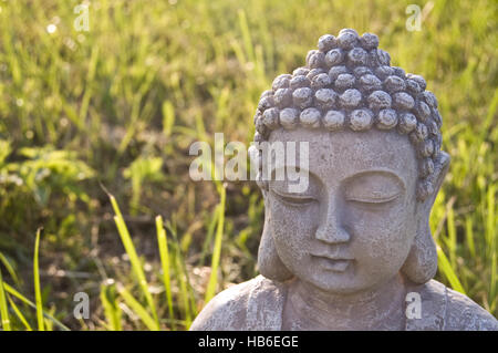 Head of Buddha on sunny meadow. Stock Photo