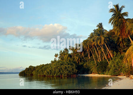 Palm Trees and Beach at Raja Ampat Dive Lodge on Mansuar Island. Raja Ampat, Indonesia Stock Photo