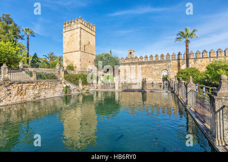 Water pond in gardens of Alcazar of the Christian Monarchs in Cordoba, Andalusia, Spain. Stock Photo