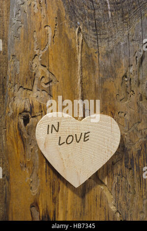 carved wooden heart hanging at tree bark Stock Photo