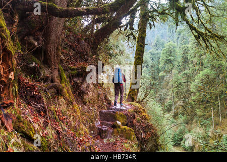 Hike in Nepal jungle Stock Photo