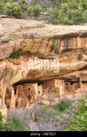 Anasazi Ruins, Spruce Tree House, Mesa Verde National Park, UNESCO World Heritage Site, 600 A.D. - 1,300 A.D., Colorado, USA Stock Photo