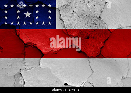 flag of Amazonas State painted on brick wall Stock Photo - Alamy