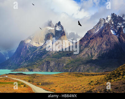 Andean condors Stock Photo