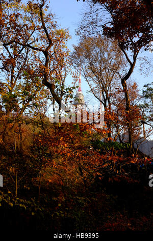 The N Seoul Tower through the trees on Namsan Mountain, Seoul, South Korea Stock Photo