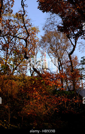 The N Seoul Tower through the trees on Namsan Mountain, Seoul, South Korea Stock Photo