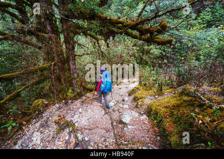 Hike in Nepal jungle Stock Photo