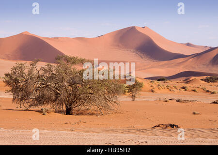 Panorama of Dunes in Namib Desert , Namibia Stock Photo