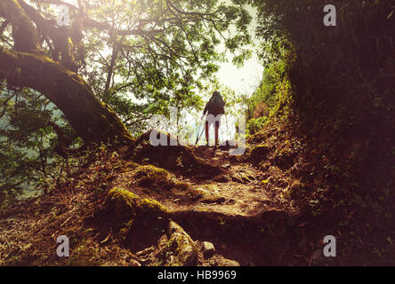 Hike in Nepal jungle Stock Photo