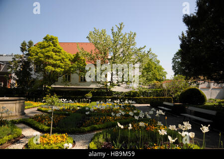 Davidia involucrata, Dove tree Stock Photo