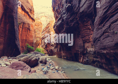 Canyon in Zion Stock Photo