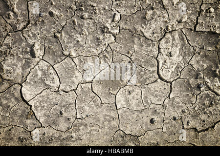 dry earth Stock Photo